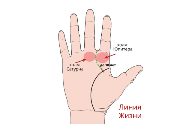 Хиромантия холма Юпитера: крест, звезда, треугольник, квадрат, решетка и другие знаки